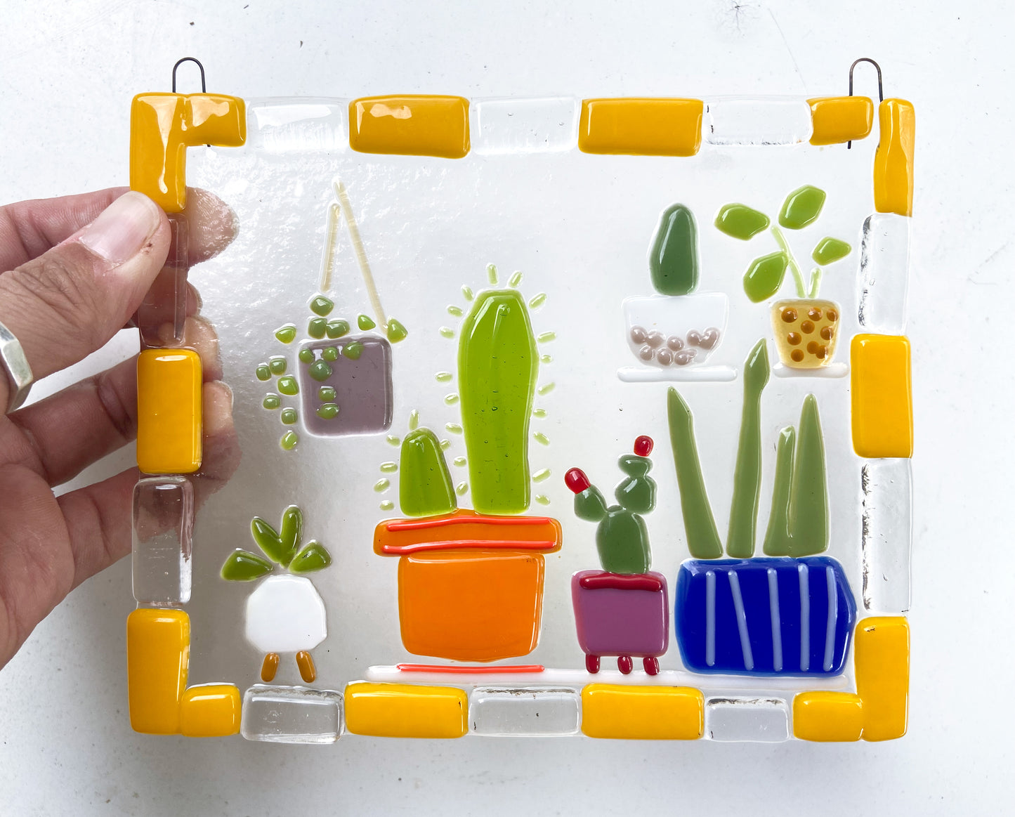 November 9 | Plant Portrait @ Maybe Shop