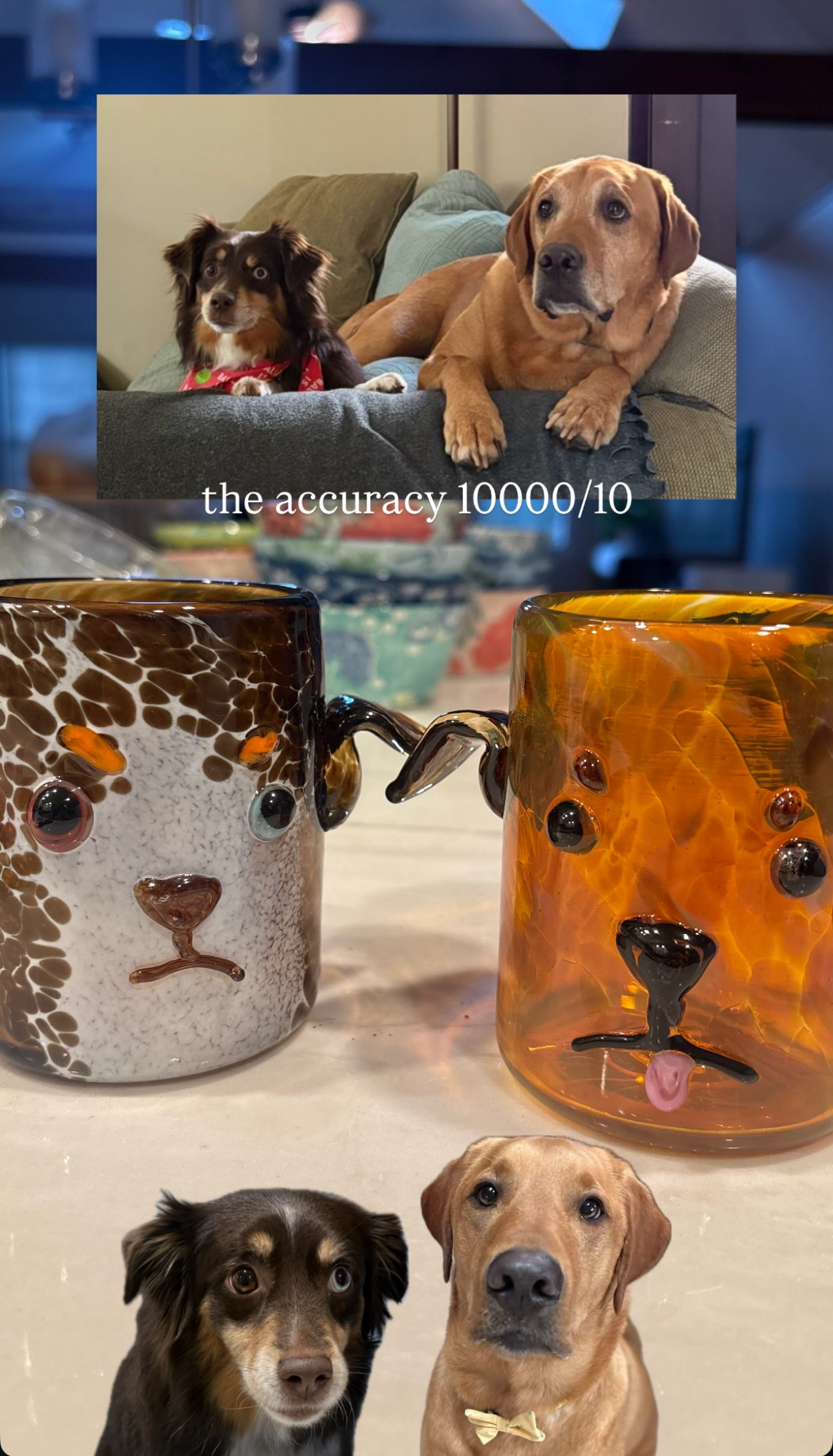 Custom Pet Cups